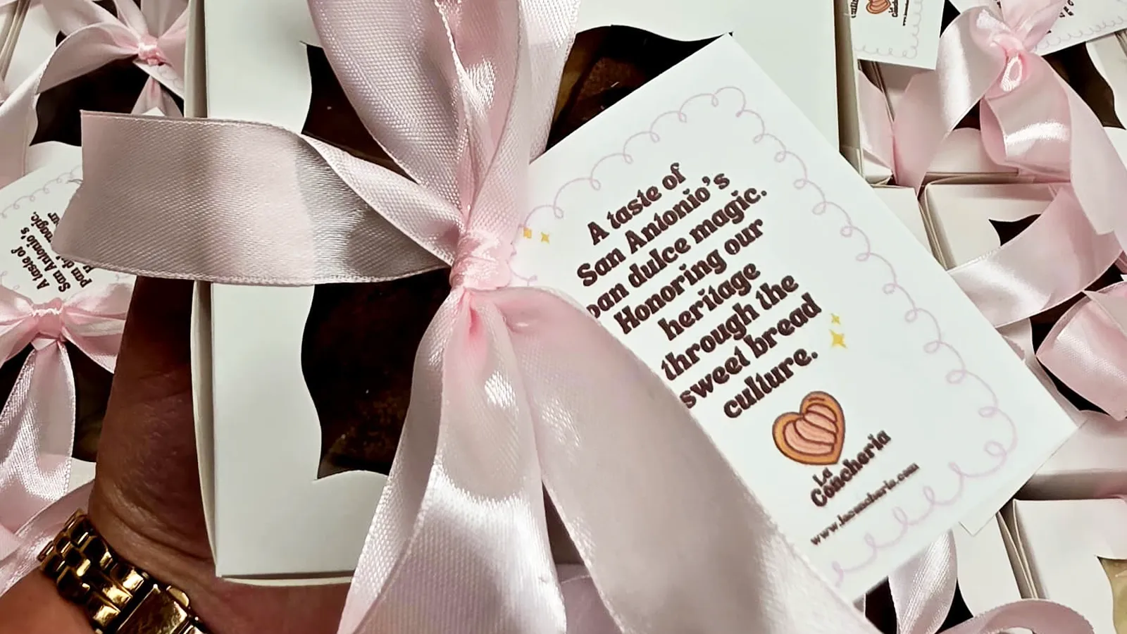 La Concheria - San Antonio